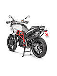 Глушник Akrapovic для BMW F 650GS [08-12], BMW F 700 GS [13-17], BMW F 800 GS [08-17], фото 3