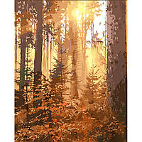 Картина по номерам Strateg ПРЕМИУМ Вечер в сосновом лесу с лаком размером 30х40 см (SS6790)