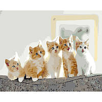 Картина по номерам Strateg ПРЕМИУМ Пятерка рыжих котят с лаком и размером 40х50 см (GS1511)