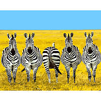 Картина по номерам Strateg ПРЕМИУМ Пятерка зебр с лаком и размером 40х50 см (GS1521)