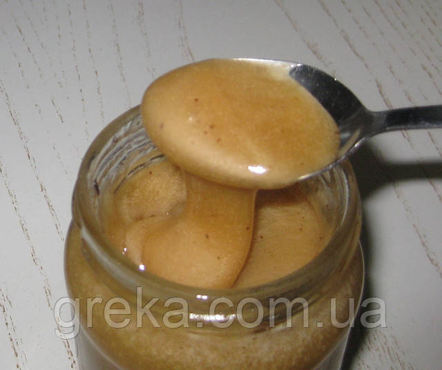 Мед ялиновий 1 кг, фото 1