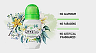 Crystal Body Deodorant, Натуральний кульковий дезодорант, Ваніль і жасмин, 2,25 ж. унц. (66 мл), фото 4