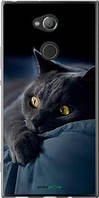 Чохол на Sony Xperia XA2 Ultra H4213 Димчастий кіт "825u-1366-2448"