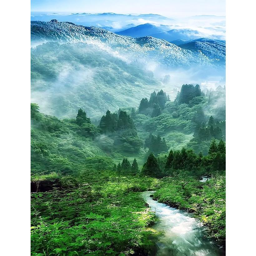 Картина за номерами Густий ліс з туманом 40х50 RA73546 у коробці з акриловими фарбами, фото 1