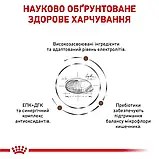Royal Canin Gastrointestinal Moderate Calorie Роял Канин гастроінтенсіал дієта для котів, 2 кг, фото 2