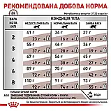 Royal Canin Gastrointestinal Moderate Calorie Роял Канин гастроінтенсіал дієта для котів, 2 кг, фото 4