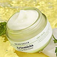 BRING GREEN Artemisia Calming Water Cream Успокаивающий водный крем с полынью 75мл