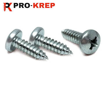 САМОРІЗ ПО МЕТАЛУ ЗІ СФЕРИЧНОЮ ГОЛОВКОЮ ГОСТРИЙ DIN 7981 ЦИНК БІЛИЙ