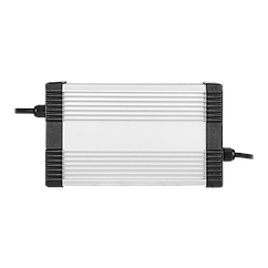 Зарядний пристрій для акумуляторів LiFePO4 60V (73V)-5A-320W-C13