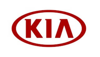 Чохол для ключа KIA