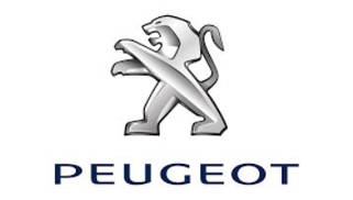 Чохол для ключа Peugeot