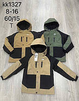 Куртка для мальчиков оптом, S&D, 8-16 лет, арт. KK1327