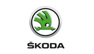 Чохол для ключа Skoda