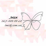 Імідж лабораторія бальзам цілющий антисептичний, фото 6