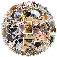Набор виниловых наклеек котики Мемы стикеры 10шт