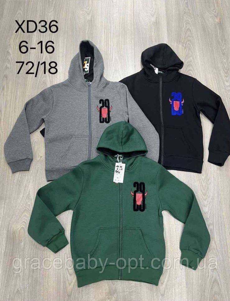 Толстовка утеплена для хлопчиків оптом, S&D, 6-16 років,  № XD-36, фото 1