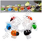 Затискач Сонечко для орхідей Алеана, фото 5