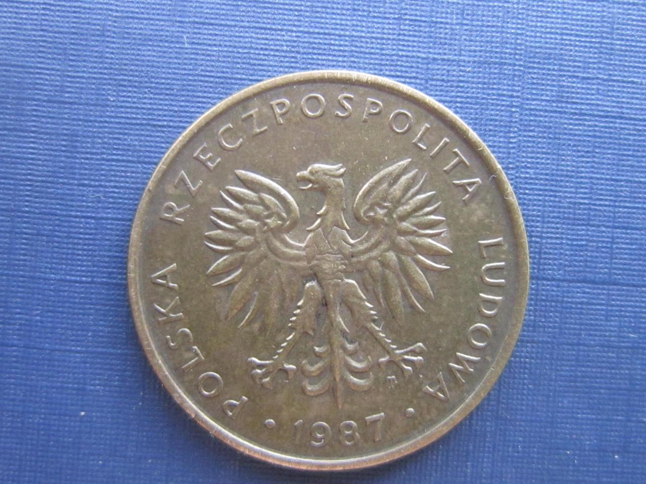 Монета 5 злотых Польша 1987 - фото 2 - id-p360419055