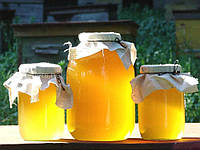 Мед подсолнуха/мед подсолнечника   Обьем 3 литра,урожай 2023г