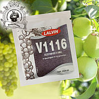 Винні дріжжі Lalvin K1- V1116 широкого спектра. Дріжжі для білих, рожевих, червоних,  фруктових вин та сидрів.