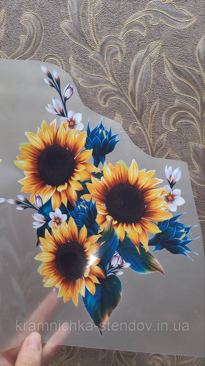 Термонаклейка на одяг, фото 1