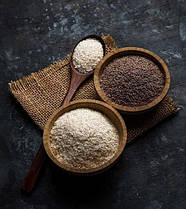 Psyllium Husk: псиліум – природний пребіотик для здоров’я травлення