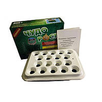 Домашня установка для вирощування зеленої цибулі "Чудоріст"