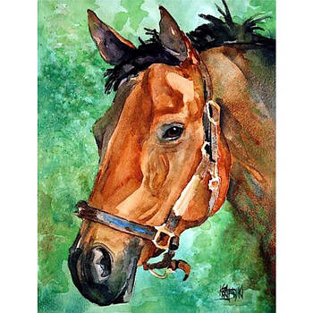 Картина за номерами Намальована голова коня 40х50 RA73528 в коробці з акриловими фарбами