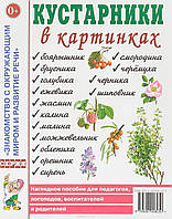 Книга Кустарники в картинках. Наглядное пособие для педагогов, логопедов, воспитателей и родителей (мягк.)