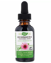 Рідка ехінацея Nature's Way Echinacea 30 ml