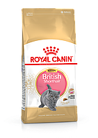 Сухой корм Royal Canin Kitten British Shorthair 10 кг для котят Британцев короткошерстных от 4 месяцев