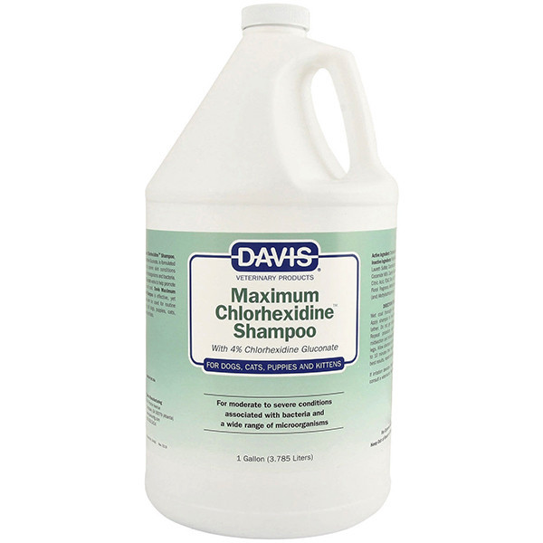 Davis Maximum Chlorhexidine Shampoo 3,8 л шампунь для собак и котов при заболеваниях кожи с 4% хлоргексидином - фото 2 - id-p1567048536