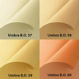 Ролети на вікна Umbra B.O. Mini Set (ручонні штори), фото 4