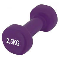 Гантель PowerPlay 4125 Achilles 2.5 кг Фіолетова (PP_4125_2.5kg)