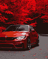 Картина за номерами Осінь у червоному Artissimo 40 х 50 PN9658