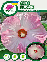 Гібіскус трав'янистий Яблуневий цвіт (Apple Blossom)