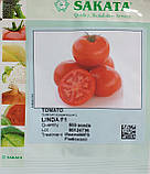Лінда F1 насіння томату Sakata Франція 500 шт, фото 5
