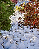 Галька біла декоративна для клумб та ландшафтного дизайну  (ціна за 1 кг від 1 тони), фото 10