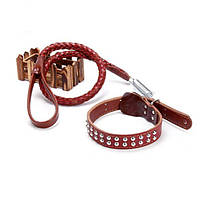 High quality leather collar with traction leather chain - red продаж