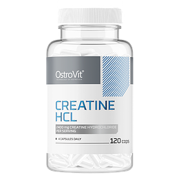 Creatine HCL OstroVit 120 капсул
