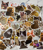 Набір вінілових наклейок котики Меми стікери 10шт