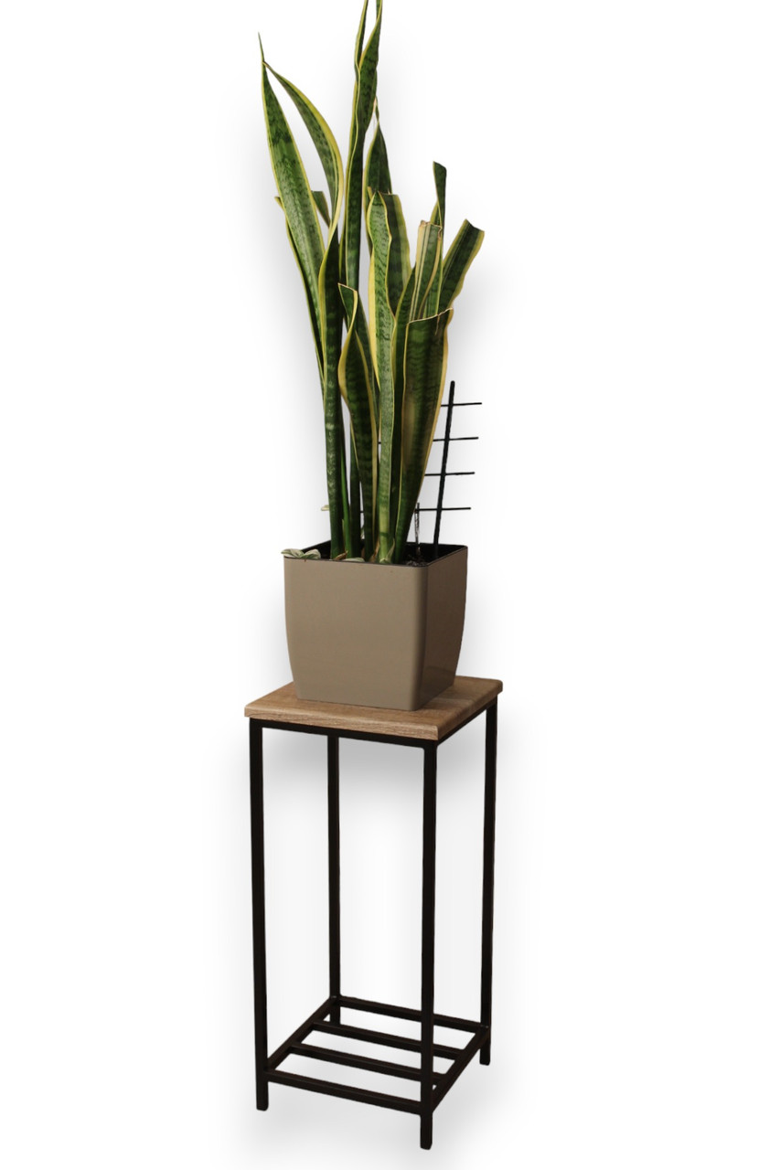 Подставка для Цветов в Стиле LOFT Marius — в Категории "Подставки и ...