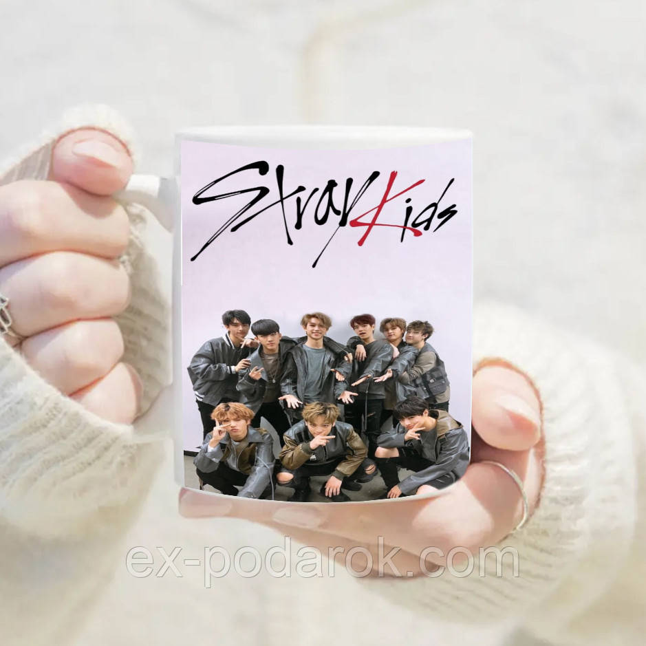 Чашка K-Pop Stray Kids Стрей Кідс 06