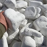 Галька мармурова біла "Тасос" Греція  (ціна за 1 кг від 1 тони), фото 7