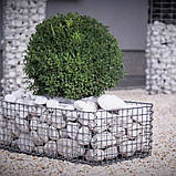 Галька мармурова біла "Тасос" Греція  (ціна за 1 кг від 1 тони), фото 9