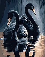 Картина за номерами Чорні лебеді 50х60 (Artissimo) PNX0745