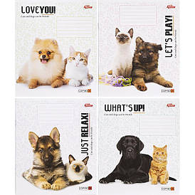 Зошит Мрія 18л. лінія