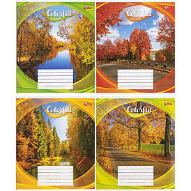 Зошит Мрія 24л. клітка