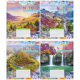 Зошит Мрія 36л. клітка