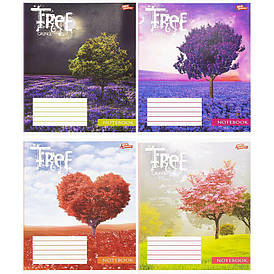 Зошит Мрія 48арк. лінія